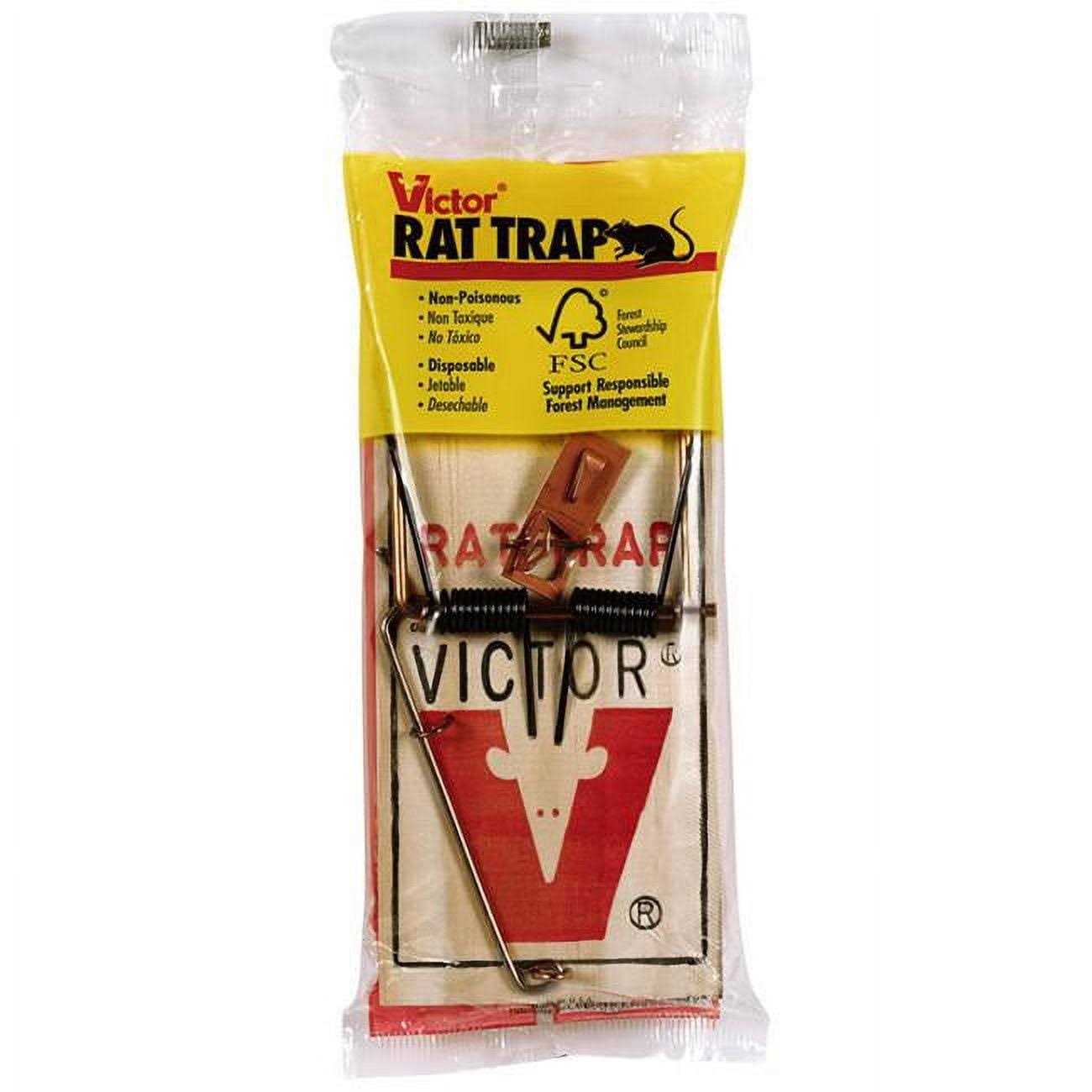 Trap Rat Victor - Image 3