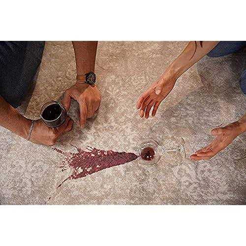 Spot Shot Instant Carpet Stain Remover - Image 4