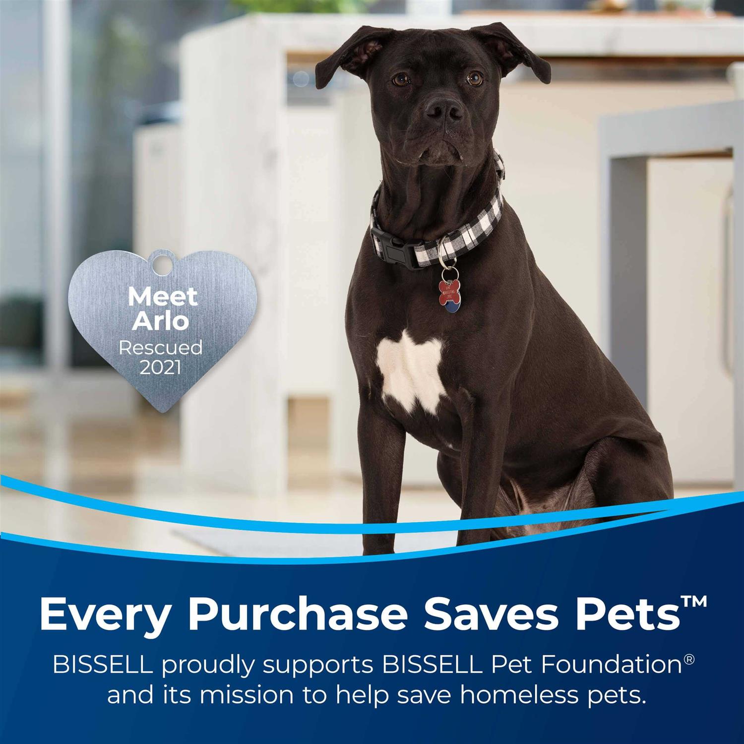 Bissell PET PRO OXY Spot & Stain Formula for Portable Carpet Cleaners - Image 4