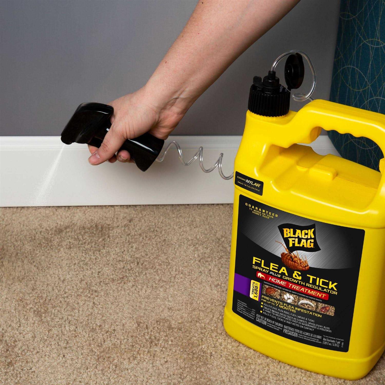 Black Flag Flea Killer Growth Regulator HG-11093 - Image 4