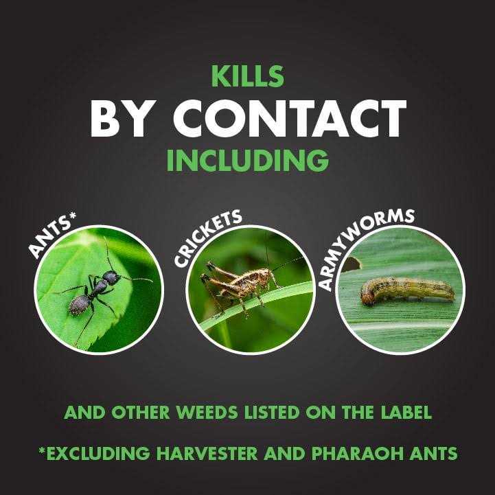 Spectracide Triazicide Insect Killer For Lawns Granules - Image 5