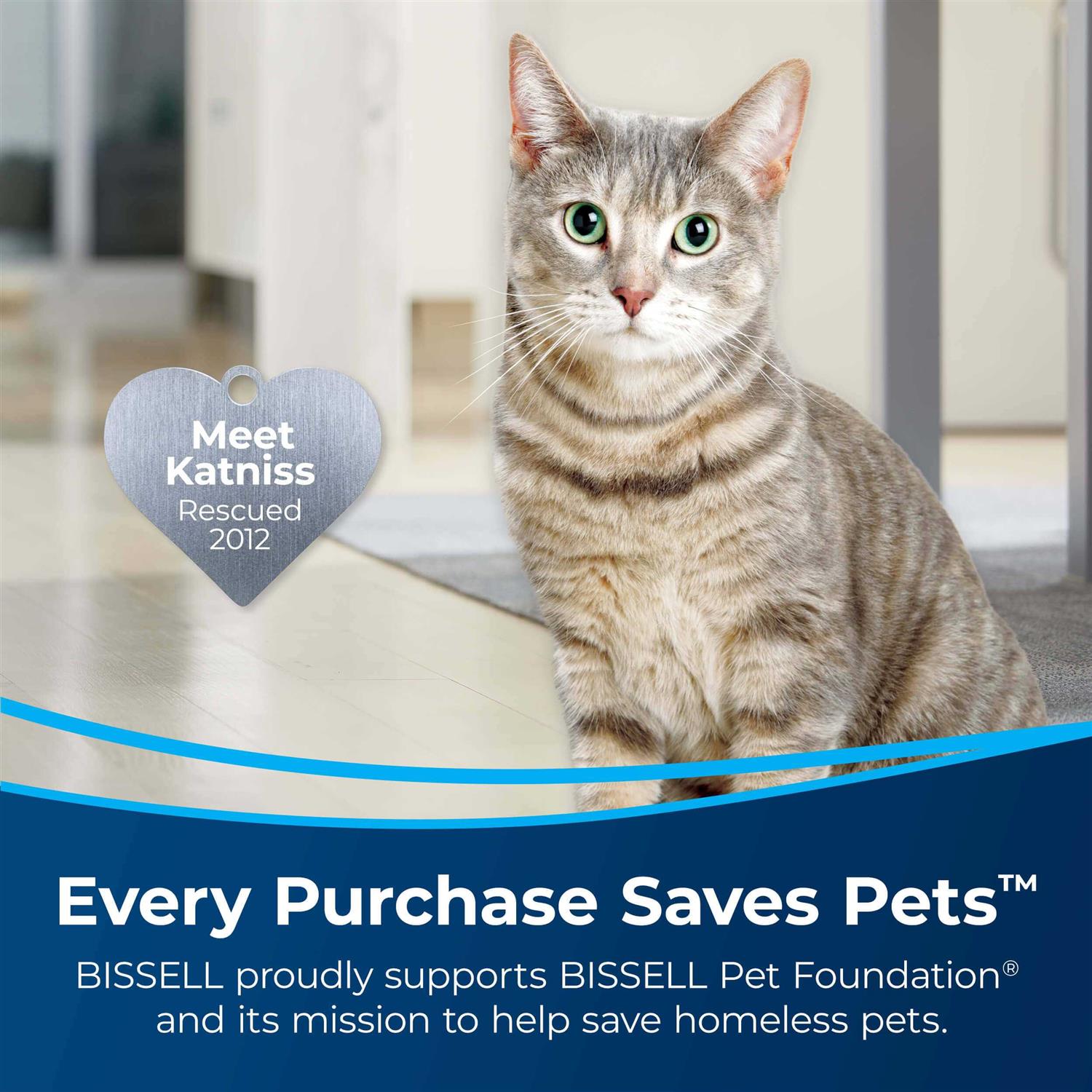 Bissell Pet Pro Oxy Stain Destroyer - Image 5