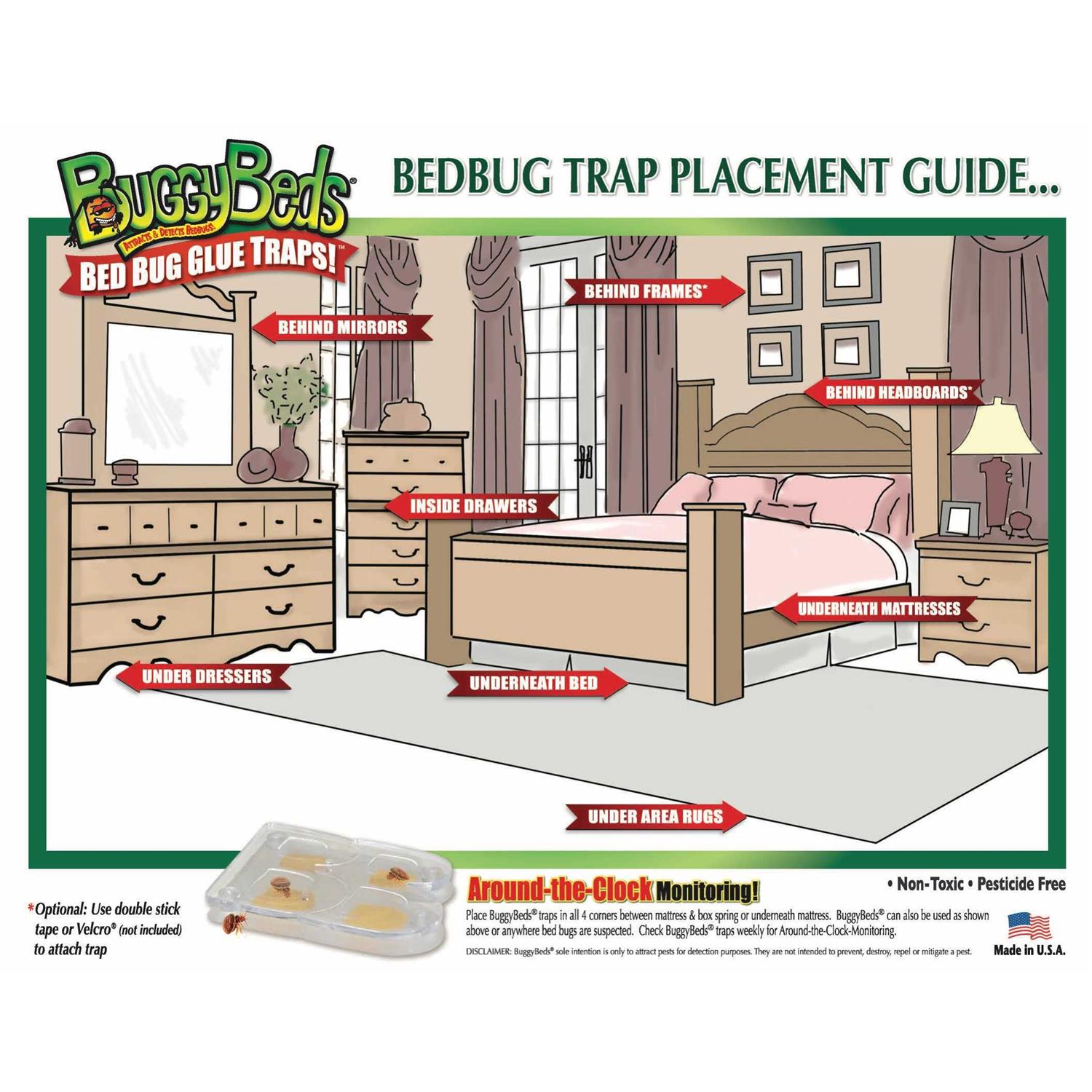 Buggybeds Bed Bug Glue Traps Home 4 Count - Image 4