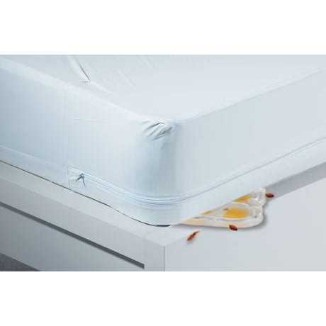 Buggybeds Bed Bug Glue Traps Home 4 Count - Image 5