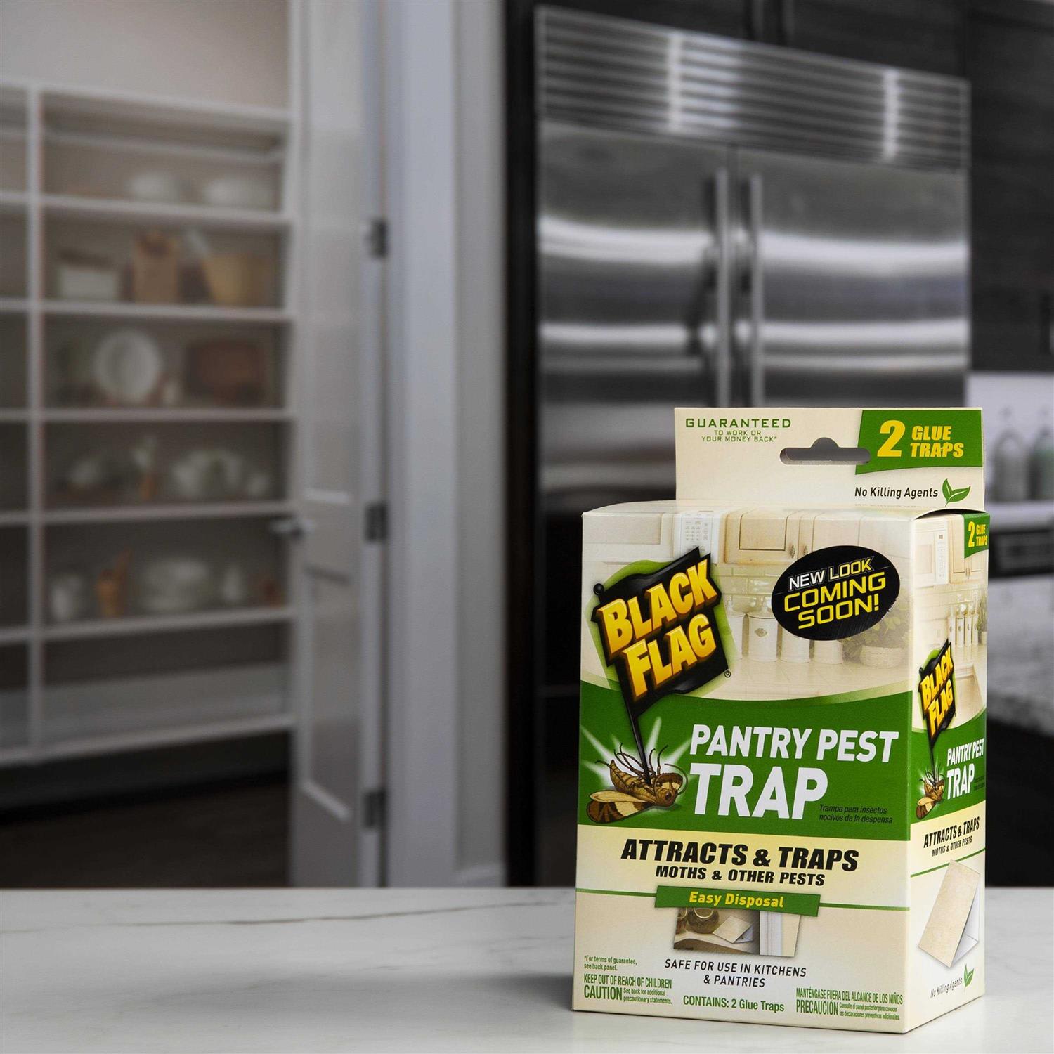 Black Flag Pantry Pest Glue Trap - Image 4
