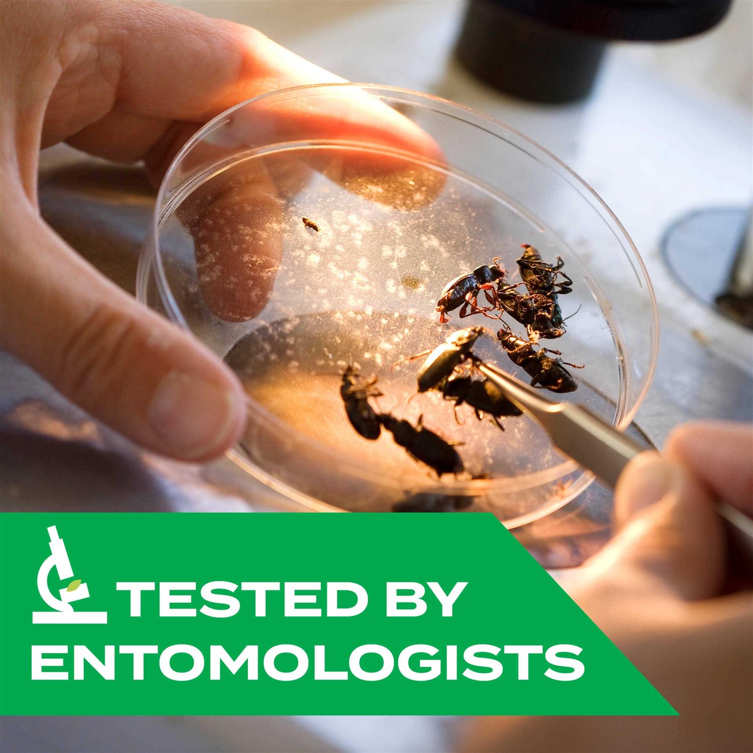 Stem Kills Ants, Roaches And Flies Plant-Based Indoor & Outdoor Bug Spray - Image 4