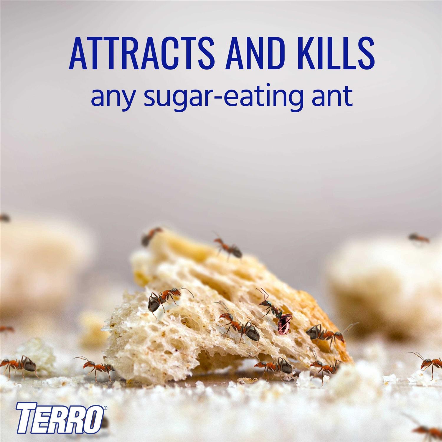 Terro 2 oz Liquid Ant Killer - Image 4