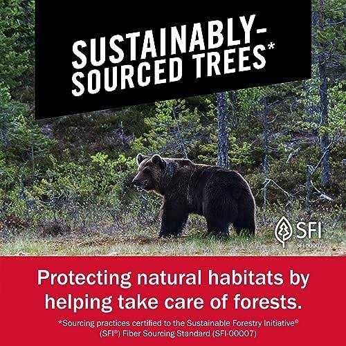 Brawny Paper Towels Tear-A-Square - Image 5