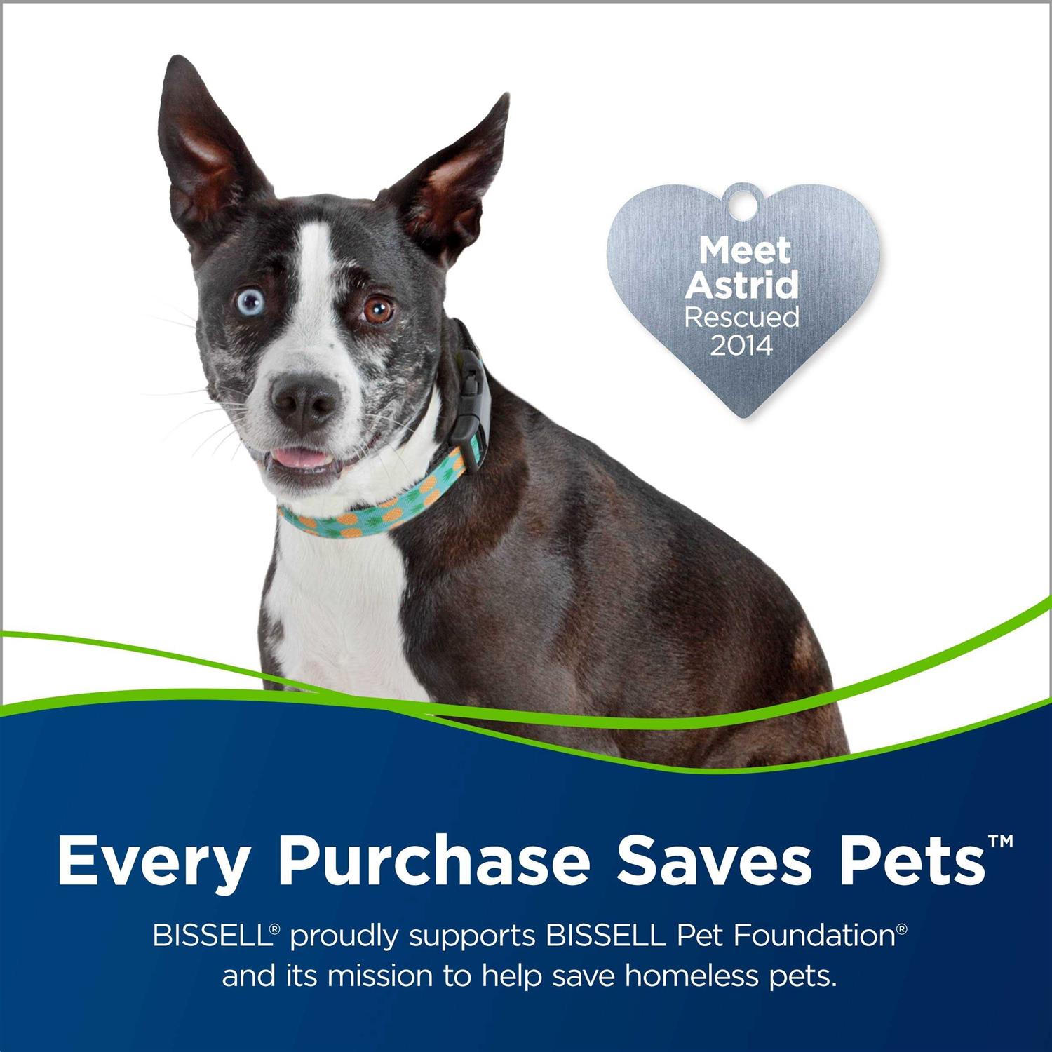 Bissell Pet Oxy Boost Carpet Cleaning Formula Enhancer - Image 4