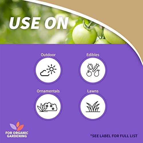 Bonide Captain Jack's Deadbug Brew Concentrate - Image 4