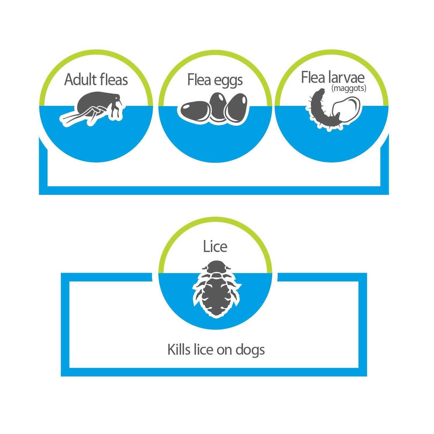 Advantage Carpet & Upholstery Spot Spray - Image 3