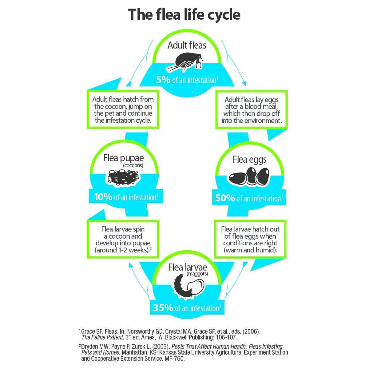 Advantage Carpet & Upholstery Spot Spray - Image 4