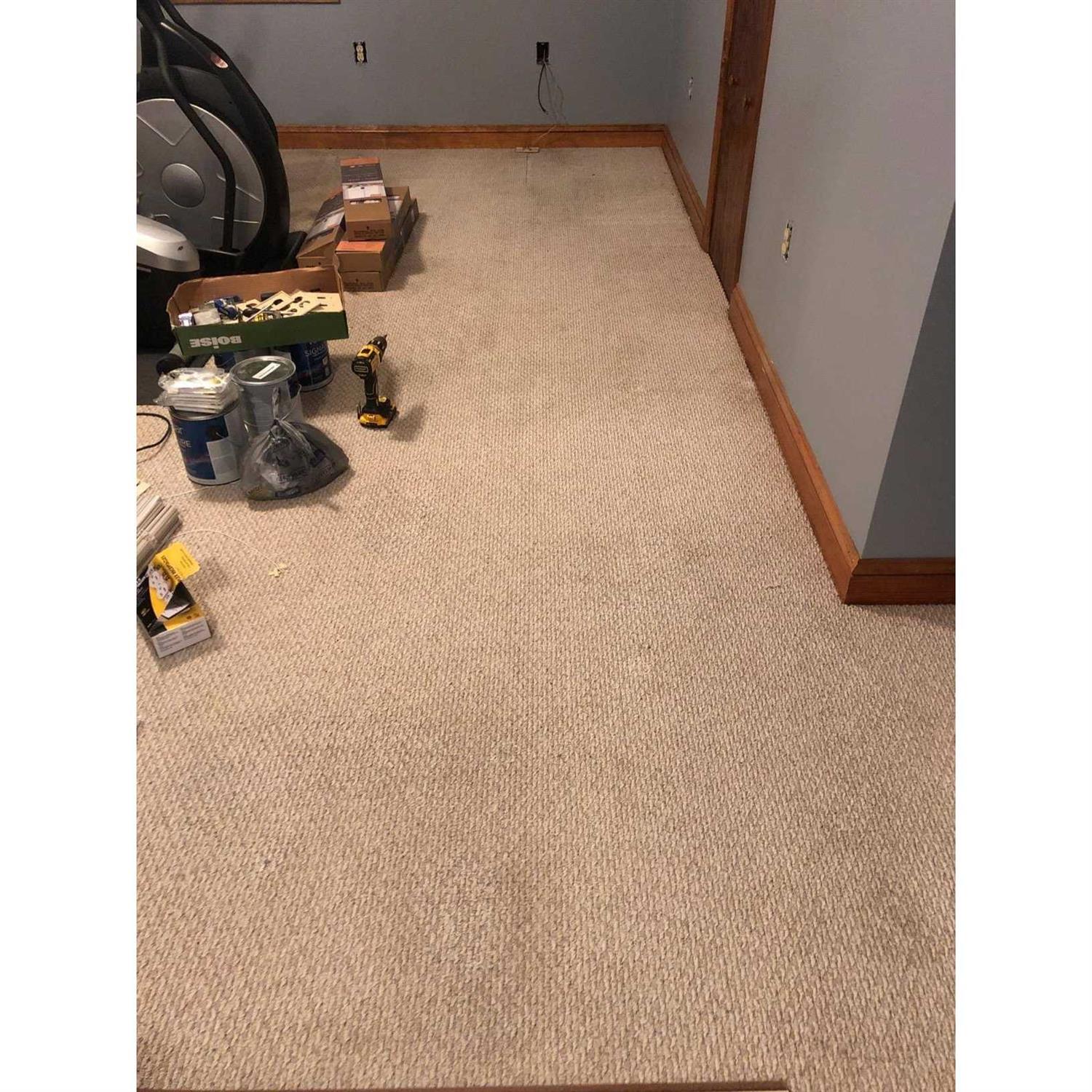 Blue Magic Carpet Spot/Stain Lifter - Image 4