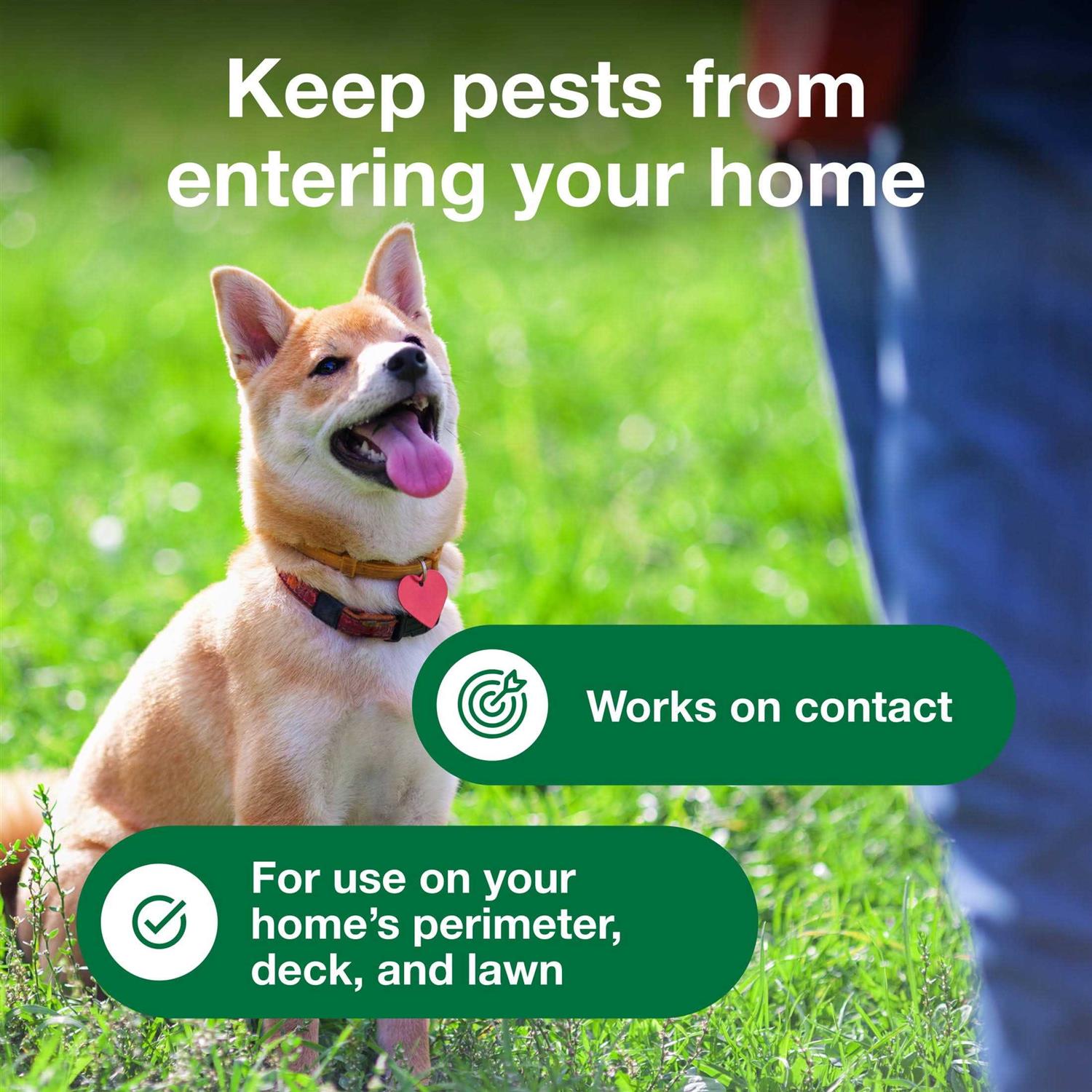 Advantage Yard & Premise Spray - Image 4