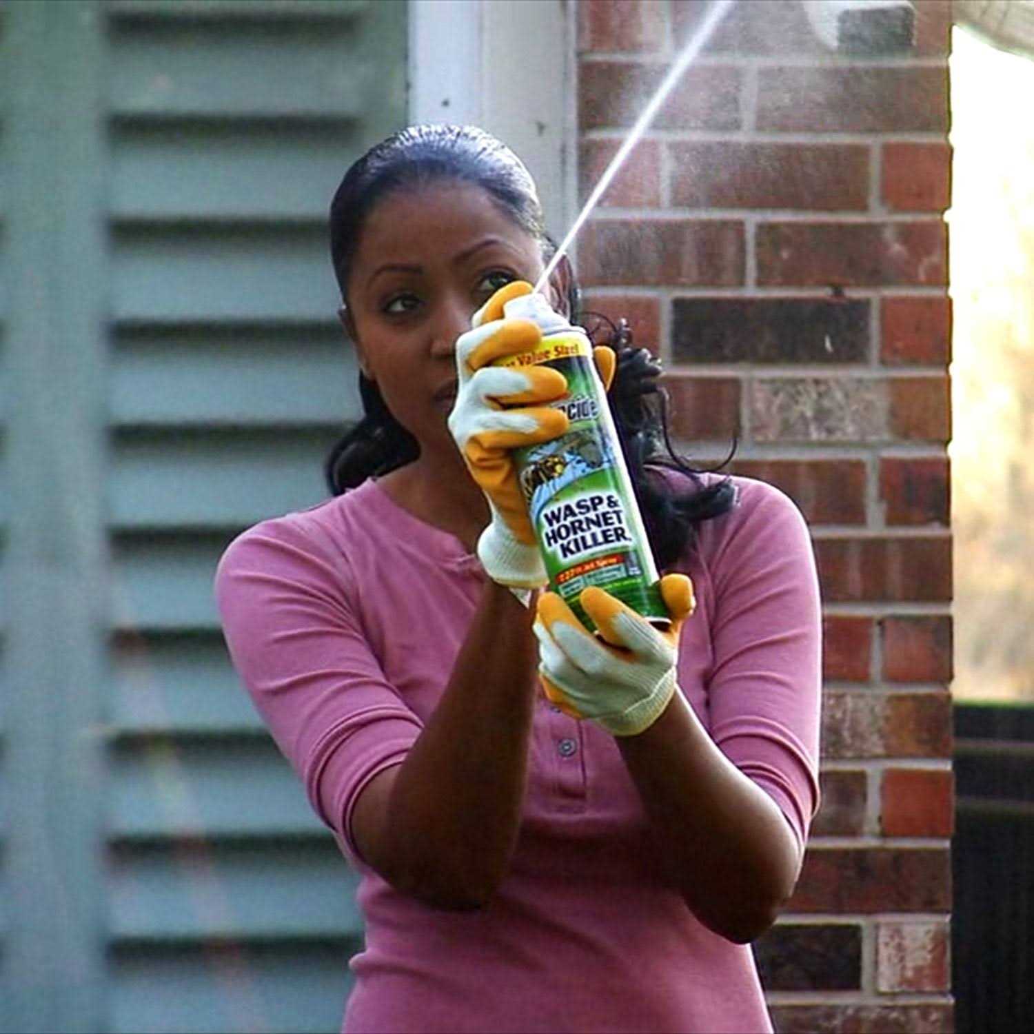 Spectracide Wasp Hornet Killer - Image 5