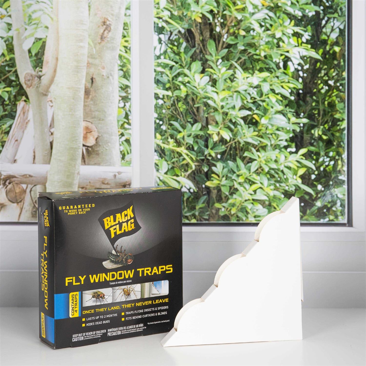 Black Flag Fly Window Trap - Image 3