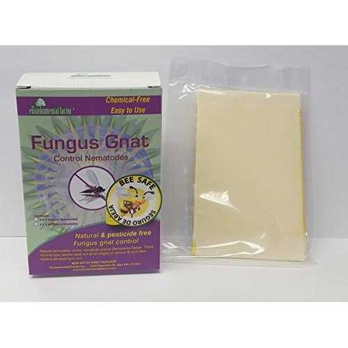 The Enviromental Factor Fungus Gnat Control Nematodes - Image 3