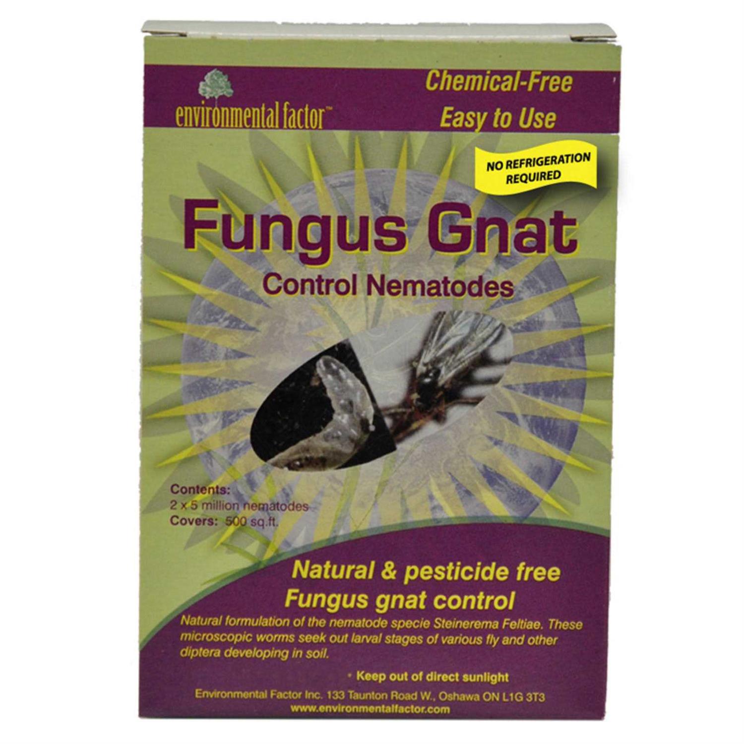 The Enviromental Factor Fungus Gnat Control Nematodes - Image 5
