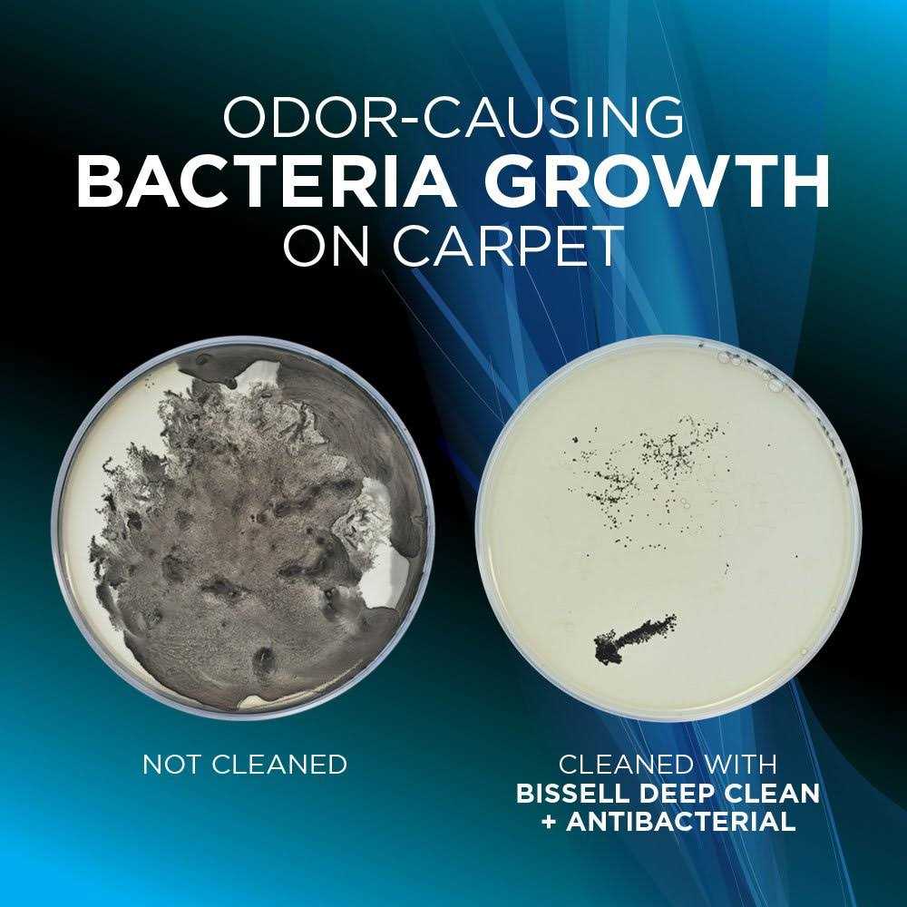 Bissell Deep Clean + Antibacterial Carpet Formula - Image 5