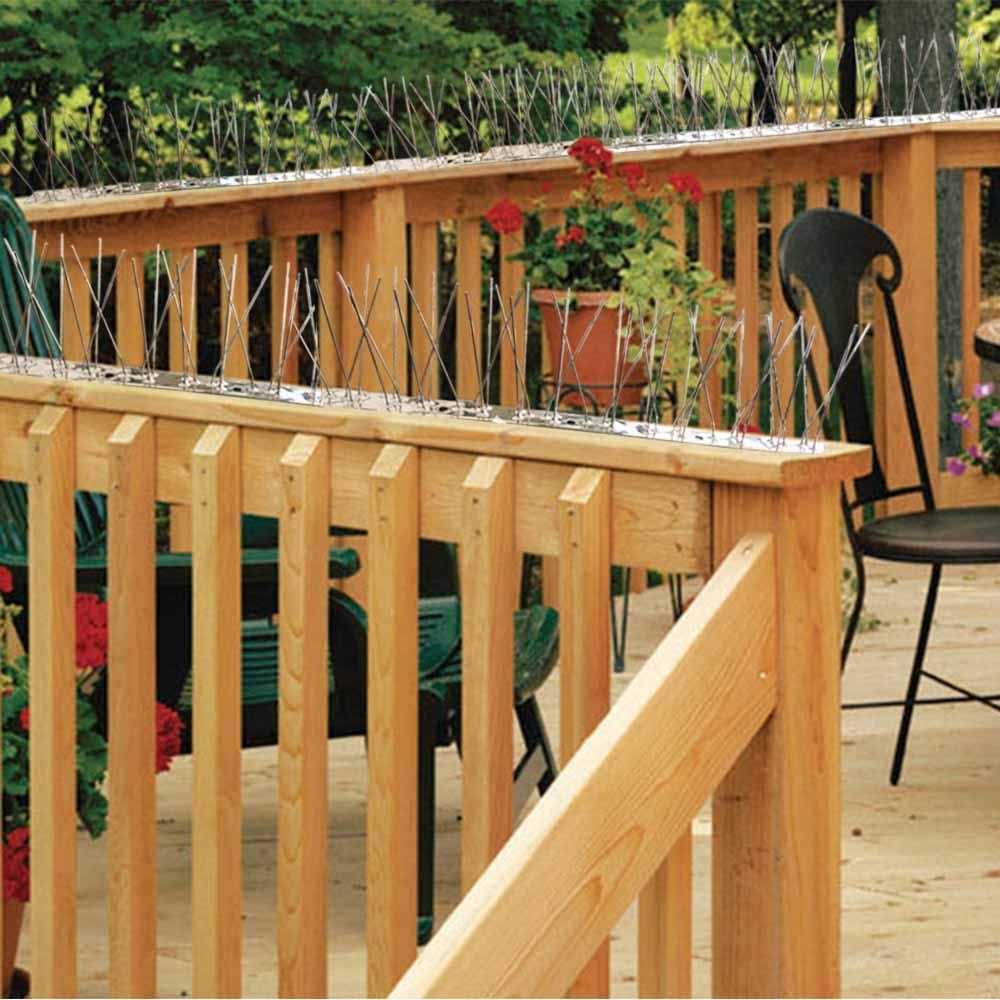 Bird Spikes for Pigeons Small Birds,Stainless Steel Bird Spikes -No More Bird Nests & Poop - Image 5