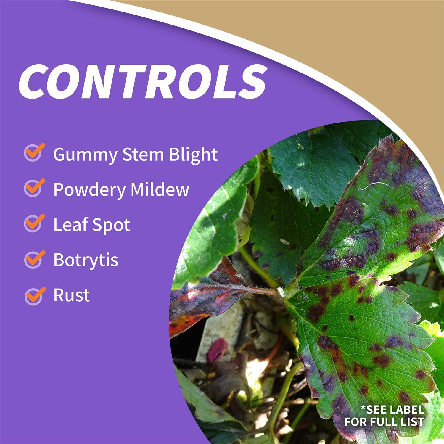 Bonide All Seasons Horticultural & Dormant Spray Oil - Image 3