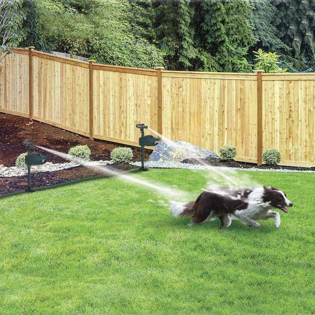 Bird-X Hydro Critter Blaster Animal Sprinkler Repeller Scarecrow Motion Activated Solar Powered - Image 3