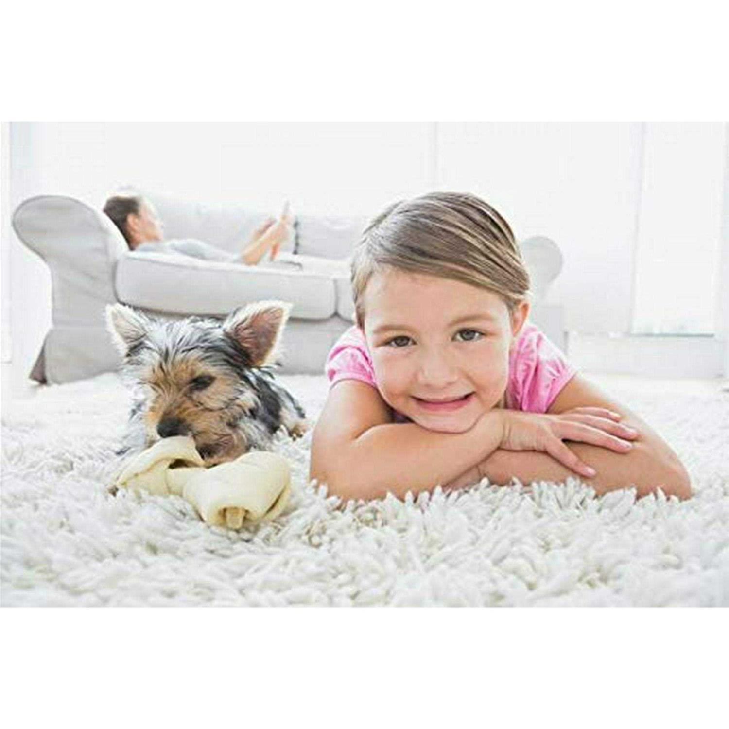 Capture Soil Release Carpet Cleaner 24 - Image 3