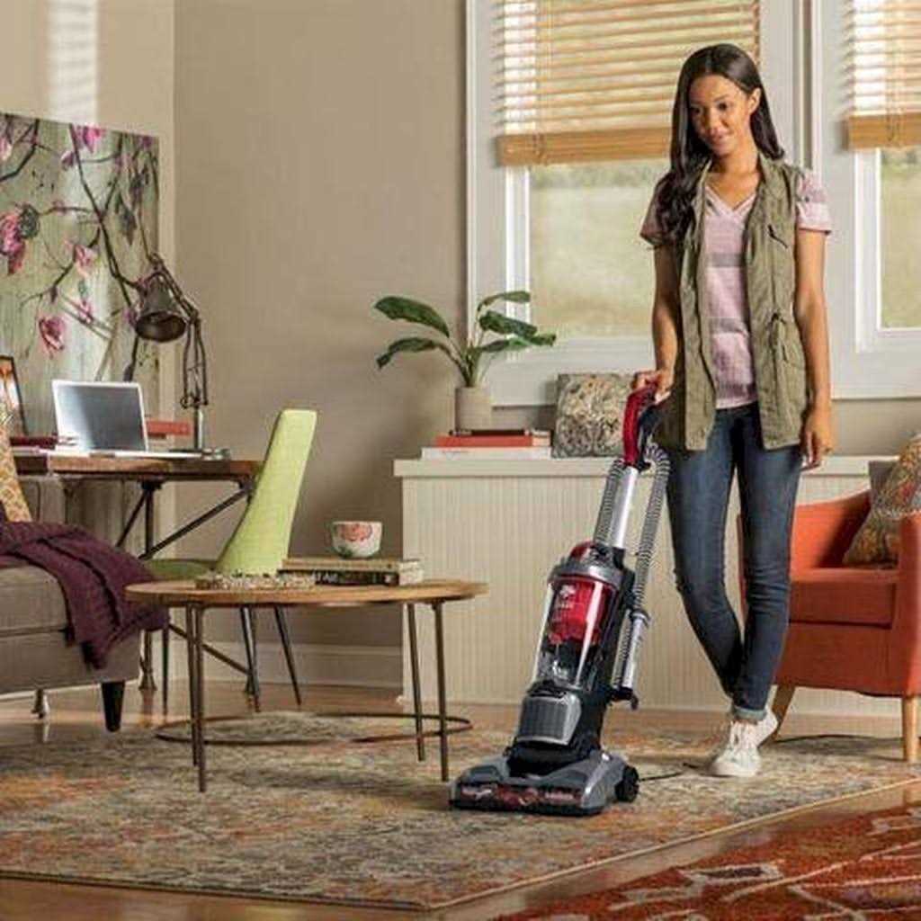 Dirt Devil Endura Max - Image 3