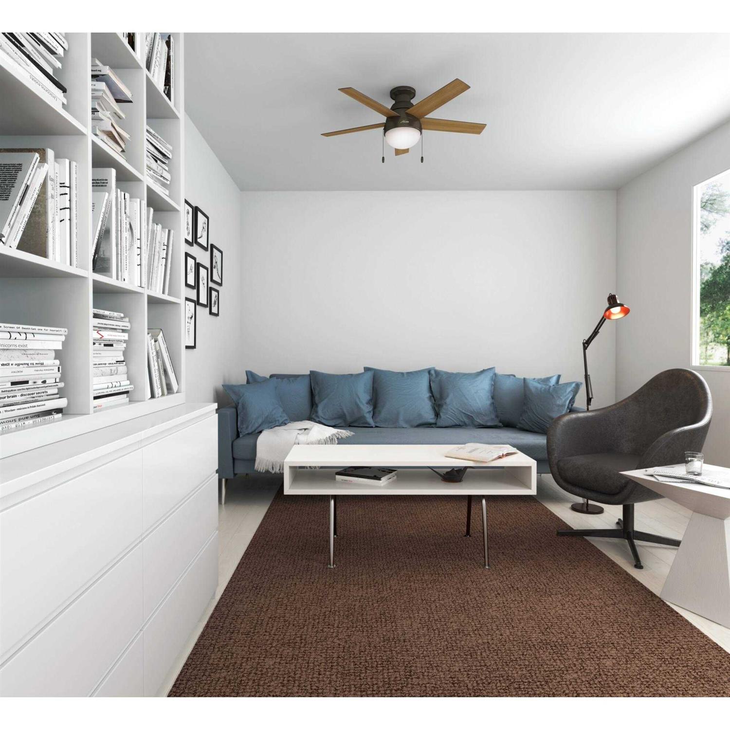 Hampton Anslee - Image 3