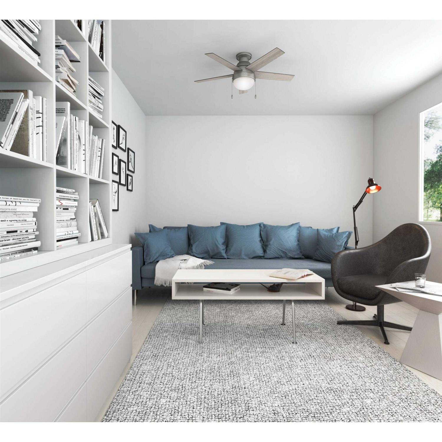 Hampton Anslee - Image 4