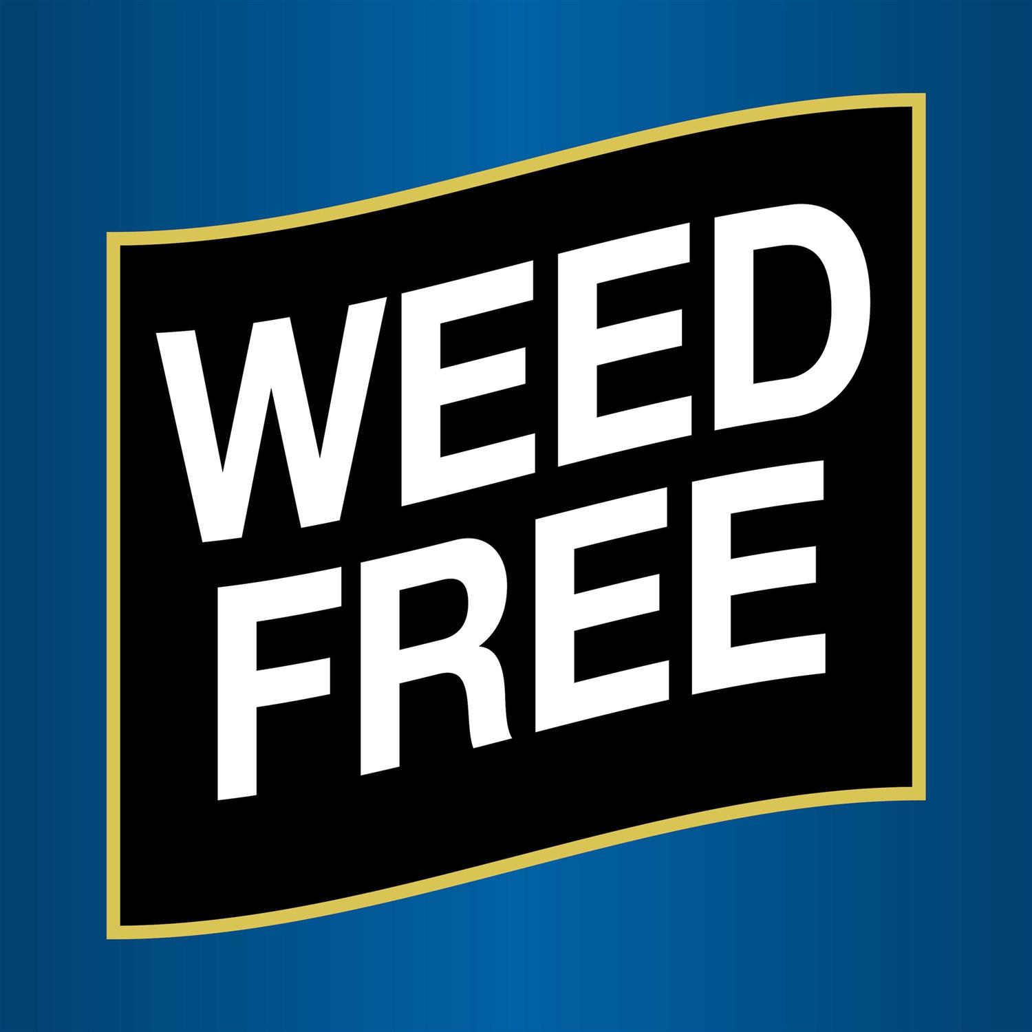 Pennington Straw Blanket - Image 3