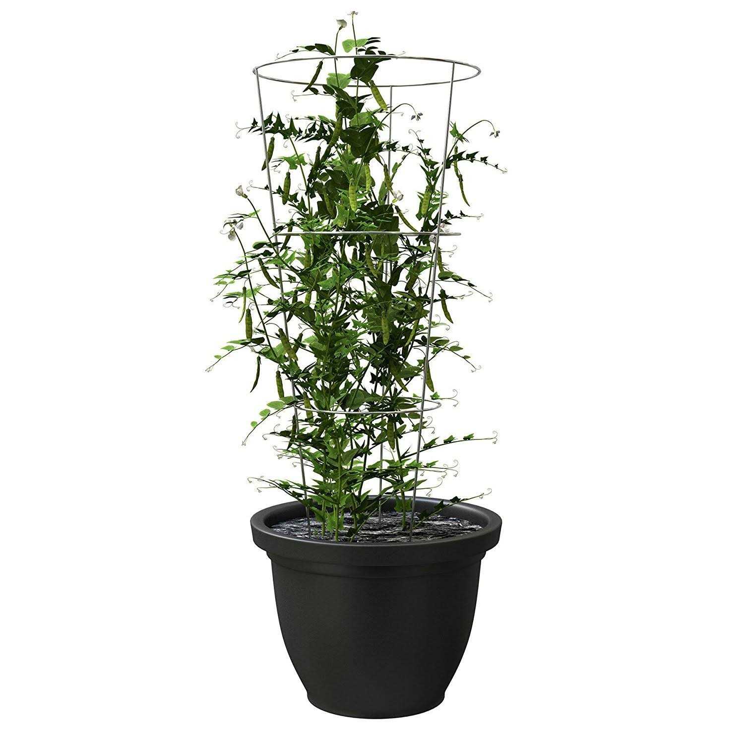 Panacea Tomato Cage Galvanized - Image 3