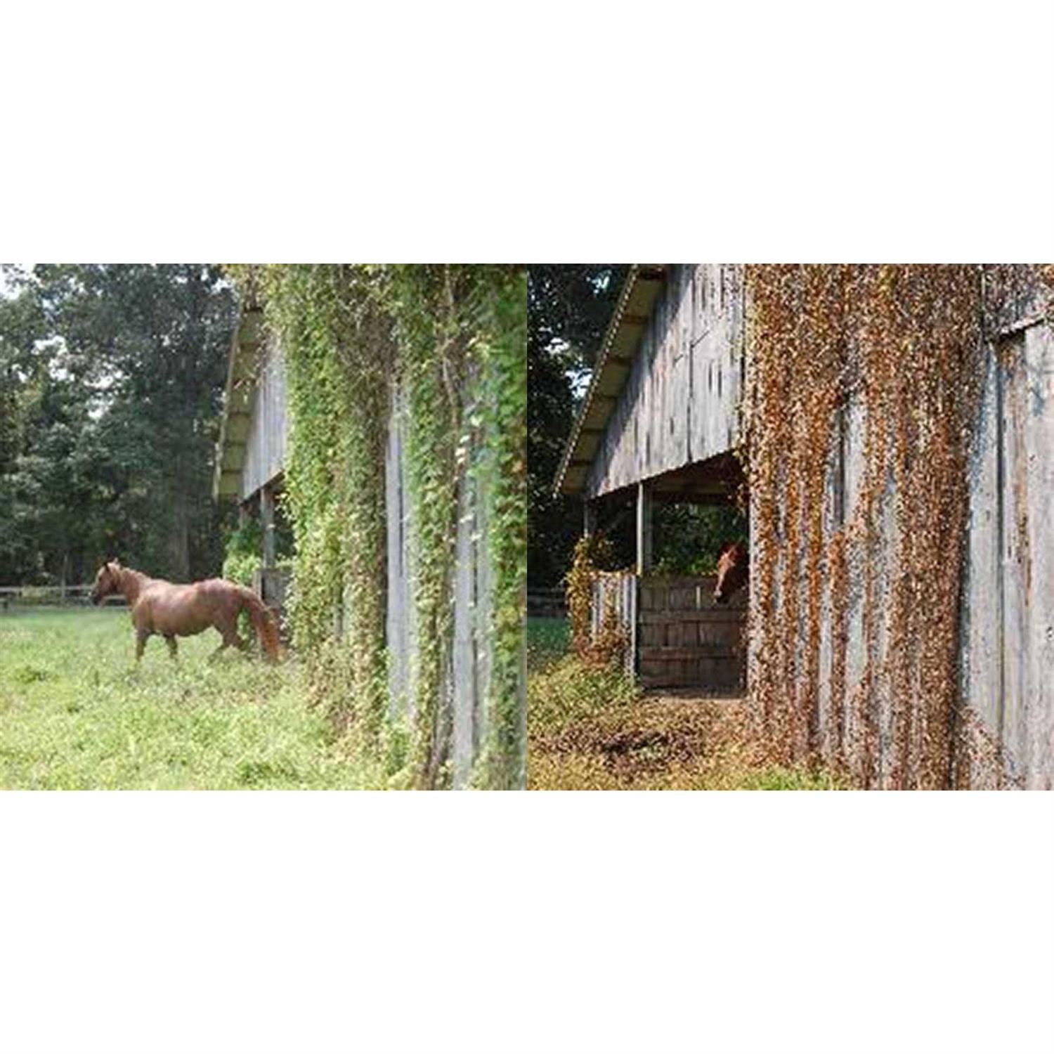 RM43 Total Vegetation Control - Image 3