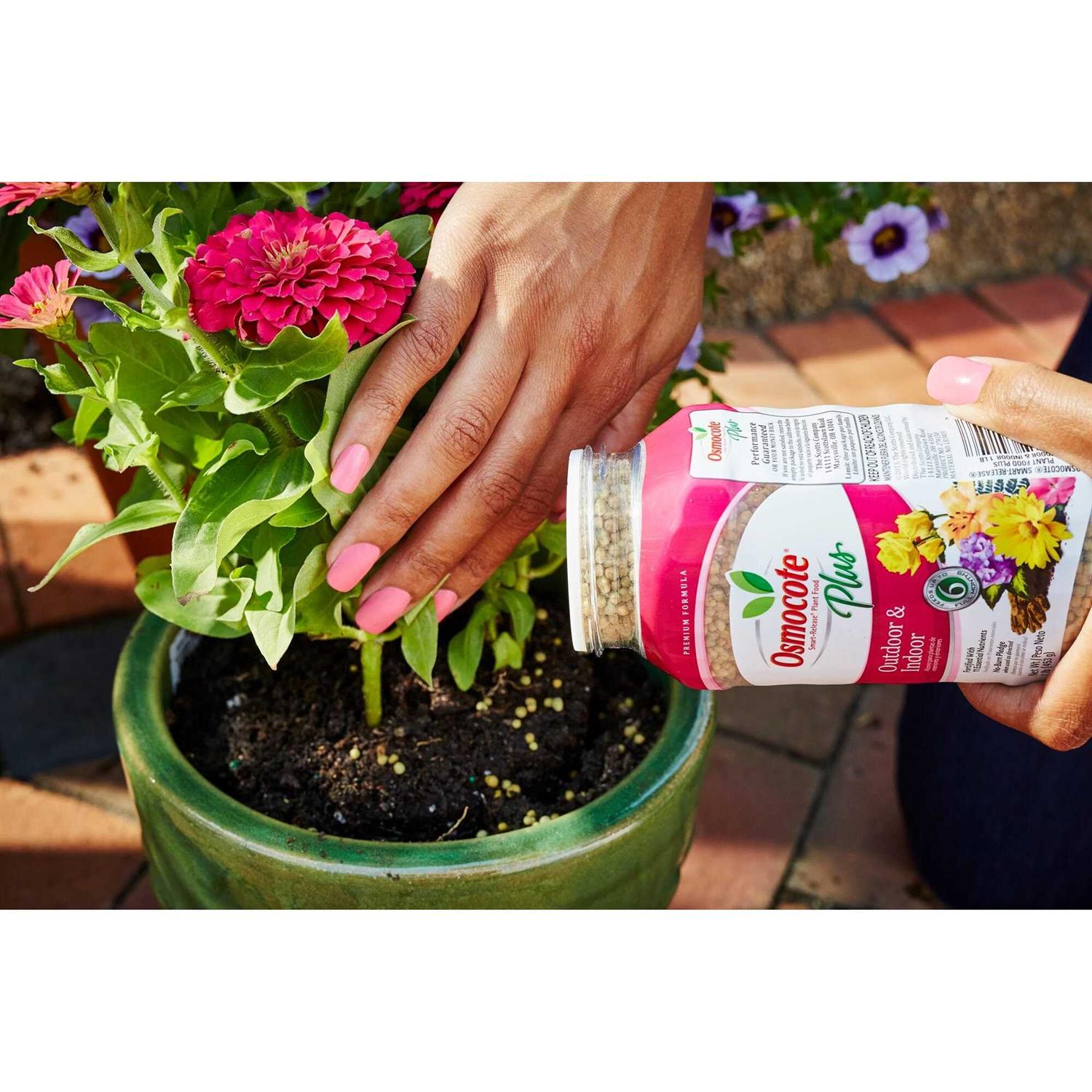 Osmocote Plus Outdoor & Indoor Smart Release Plant Food - Image 3