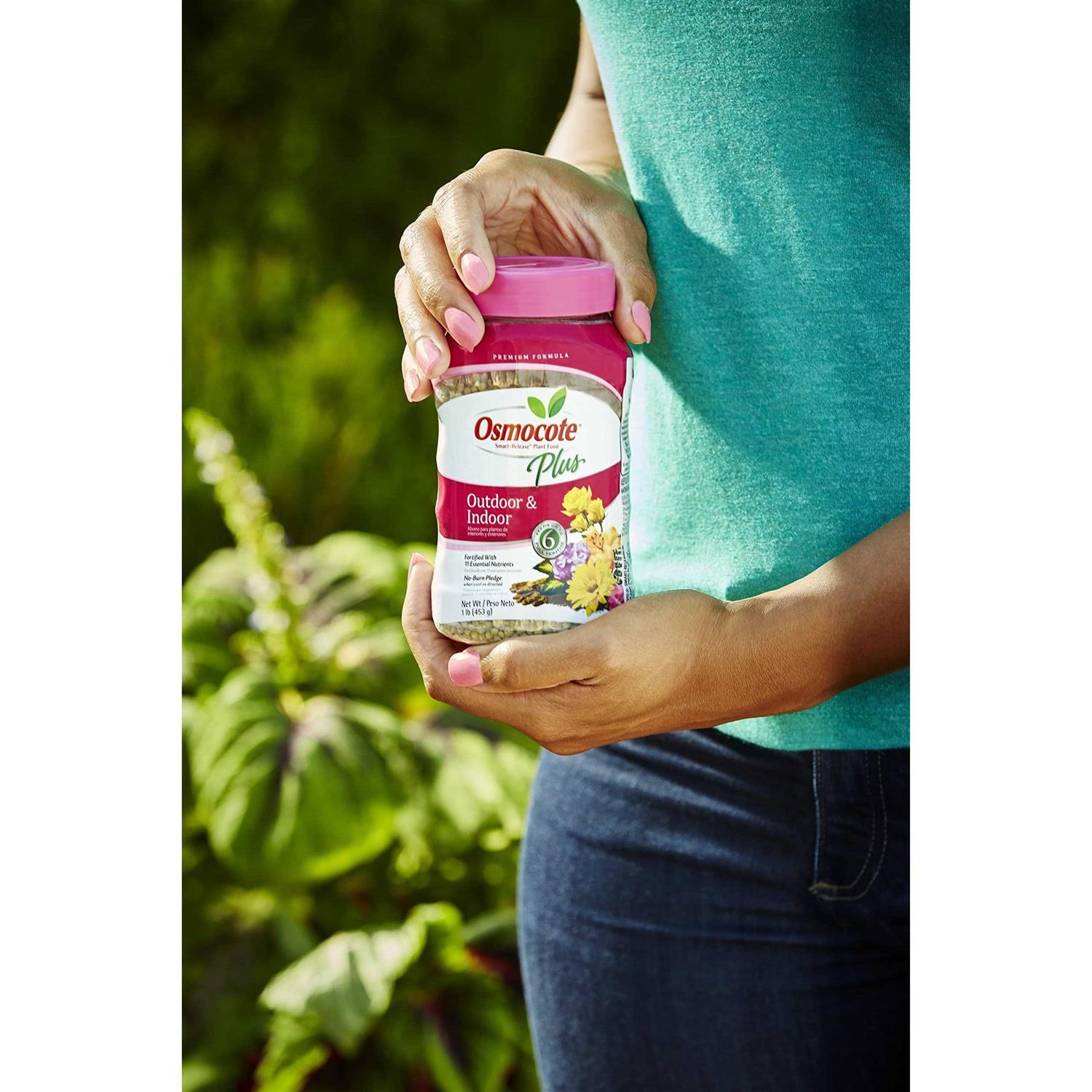 Osmocote Plus Outdoor & Indoor Smart Release Plant Food - Image 4