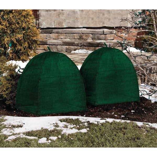 Nuvue Winter Shrub Cover Pop-Open - Image 4