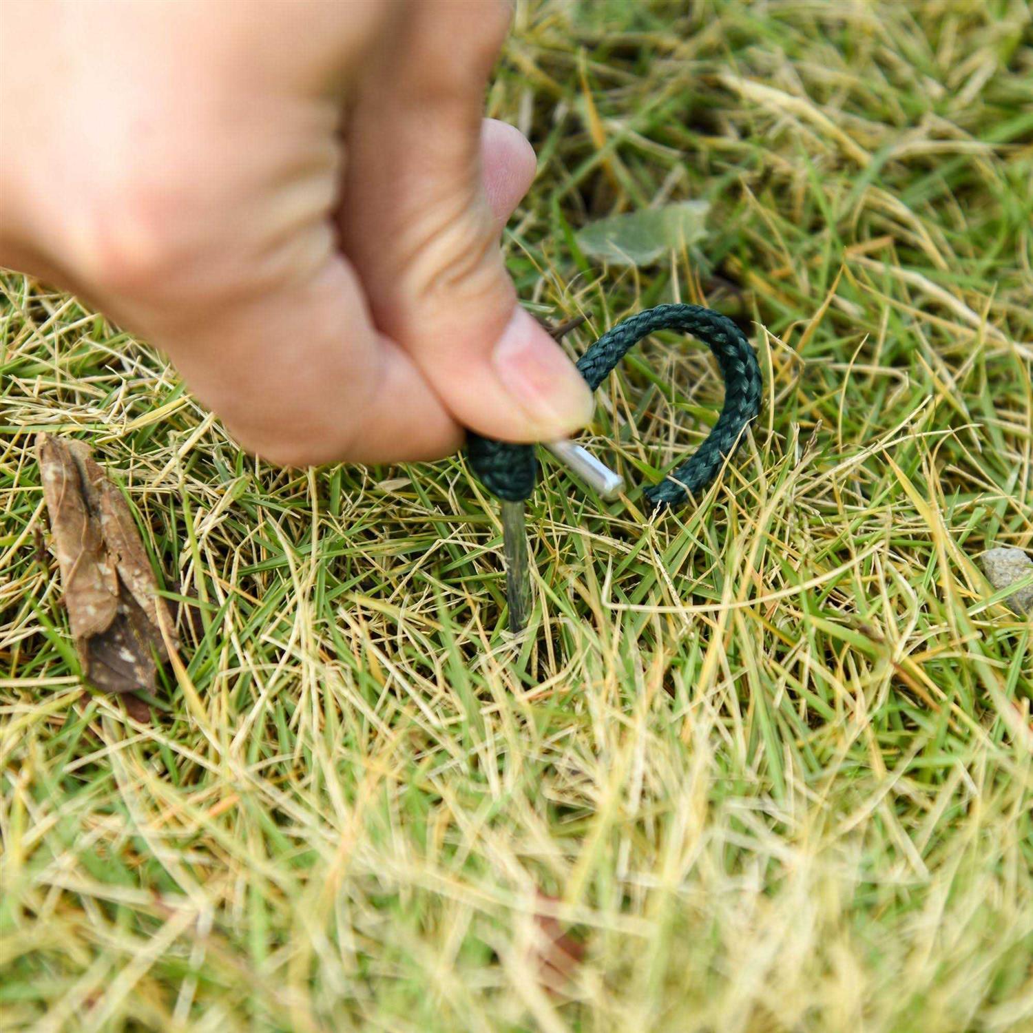 Outsunny 7' x 7' Outdoor Walk-In Greenhouse, Plant Nursery with Roll-up and PE Cover - Image 4