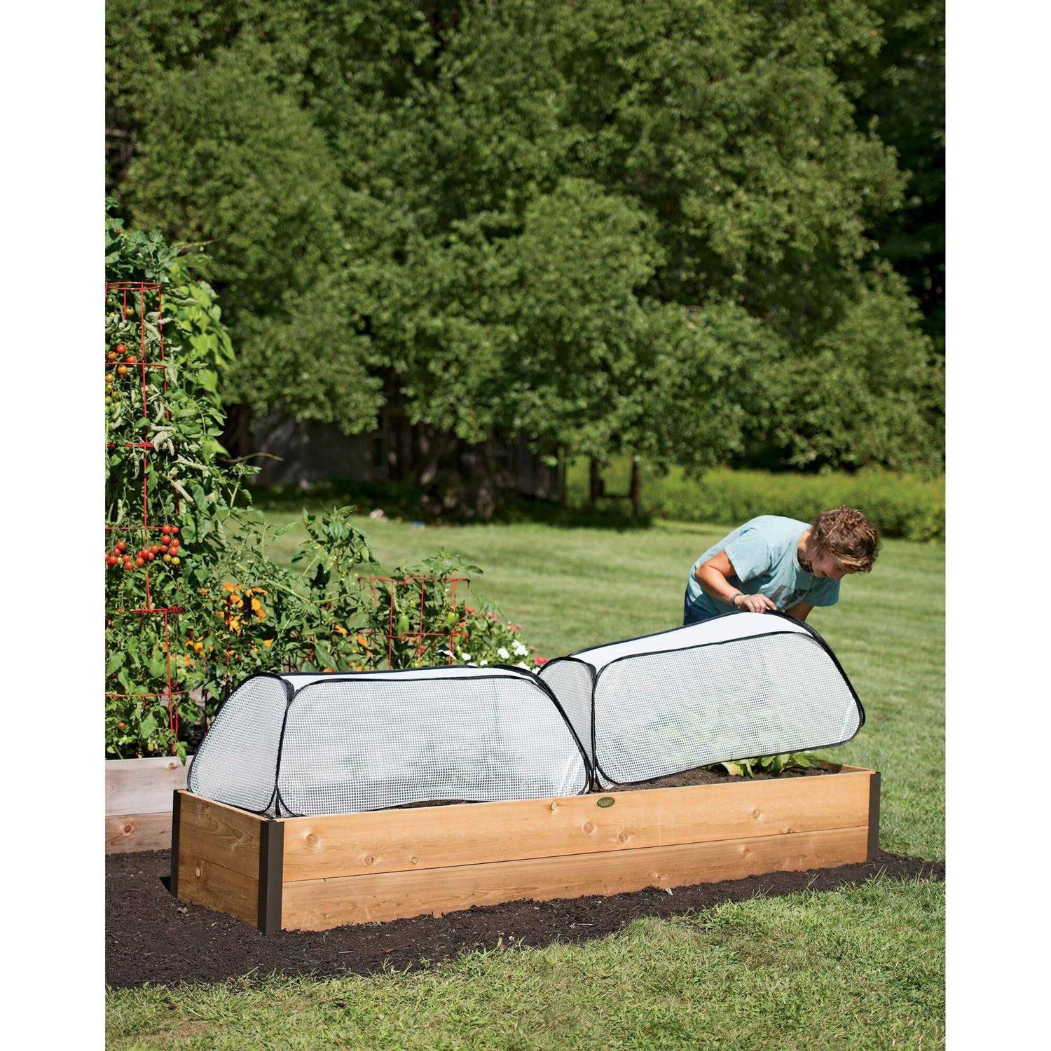 Row Shelter Accelerator - Image 3