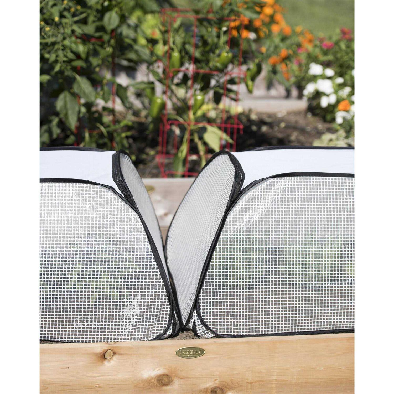 Row Shelter Accelerator - Image 5