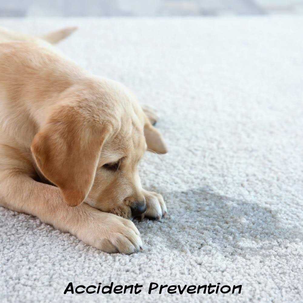 Pet Adobe Artificial Grass Replacement Mats - Image 4