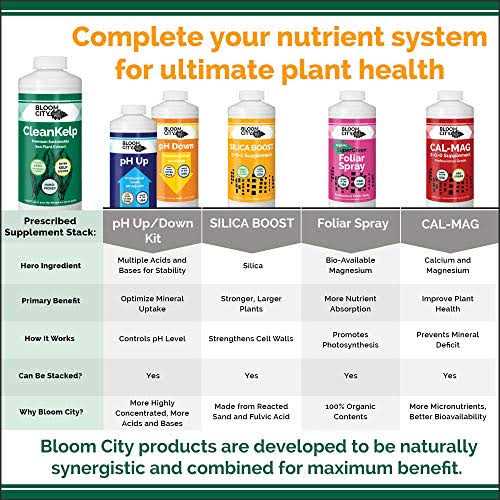 Organic Liquid Seaweed and Kelp Fertilizer Supplement by Bloom City - Image 4