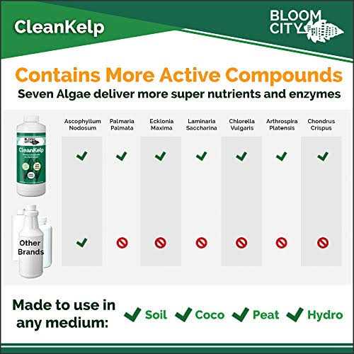 Organic Liquid Seaweed and Kelp Fertilizer Supplement by Bloom City - Image 5