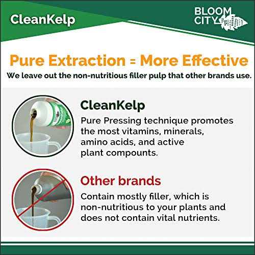 Organic Liquid Seaweed and Kelp Fertilizer Supplement by Bloom City - Image 4