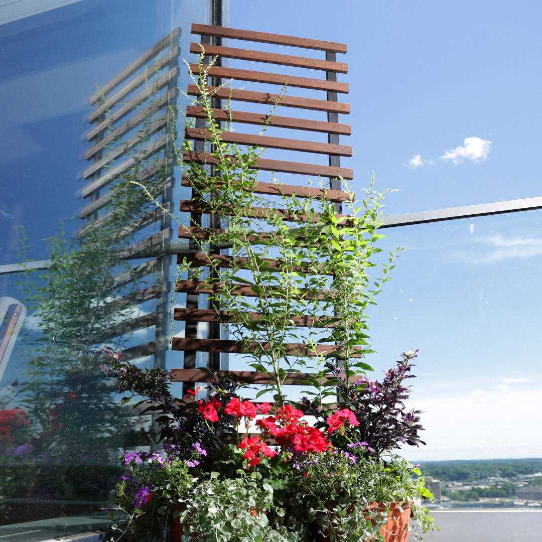 Outdoor Essentials Haven 72 in. Black and Walnut‐Tone Ladder Trellis - Image 5