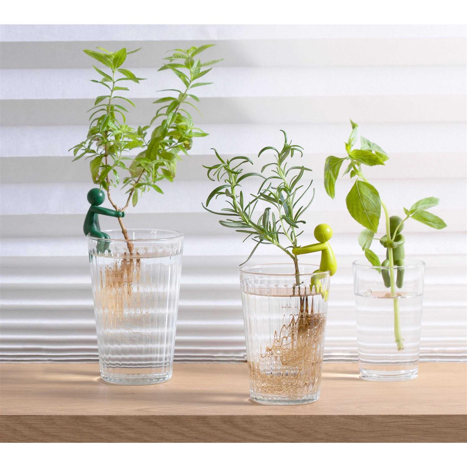 PELEG DESIGN Leafriend Plant Propagation Buddy Plant Support for Sprouts, Stems, Shoots, and Cuttings - Image 4