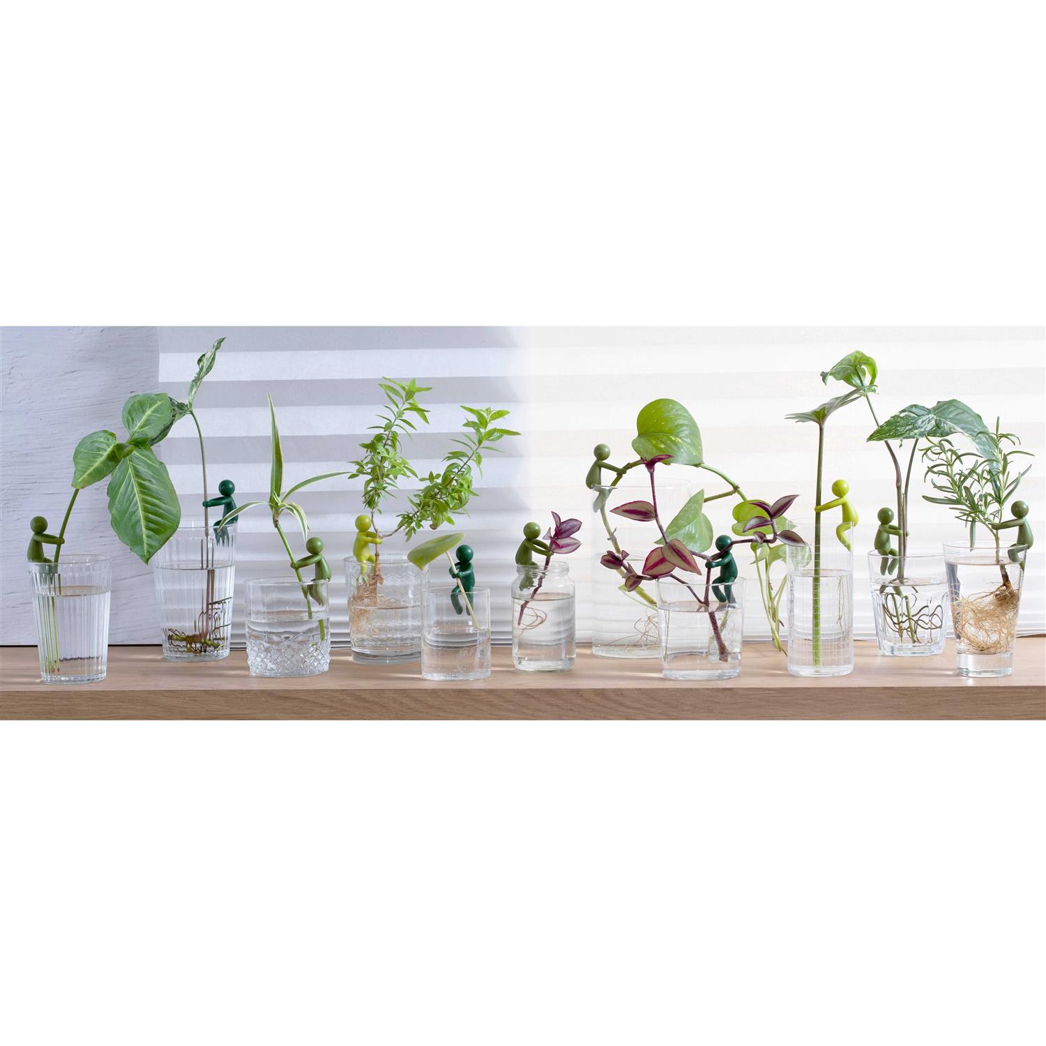 PELEG DESIGN Leafriend Plant Propagation Buddy Plant Support for Sprouts, Stems, Shoots, and Cuttings - Image 5