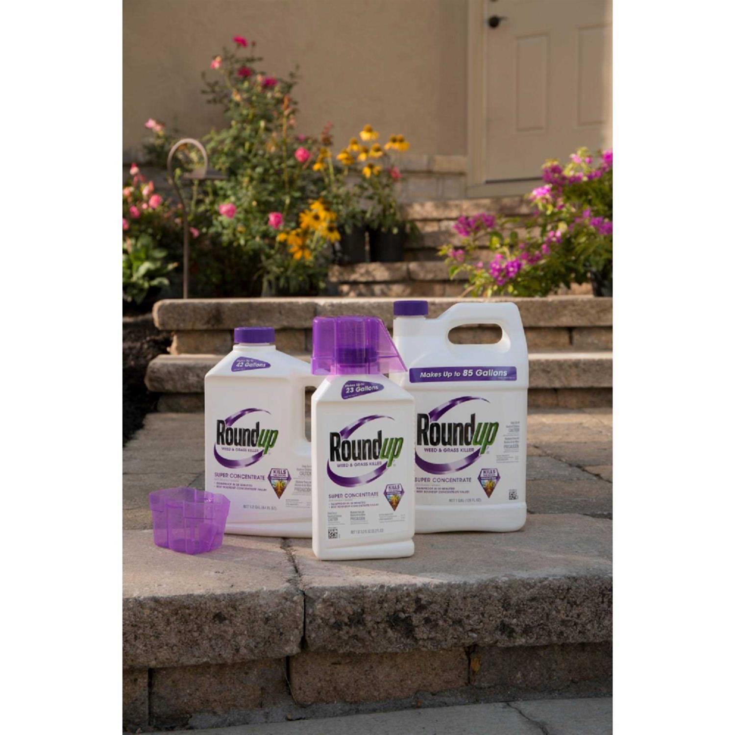 Roundup Concentrate Weed Grass Killer - Image 4