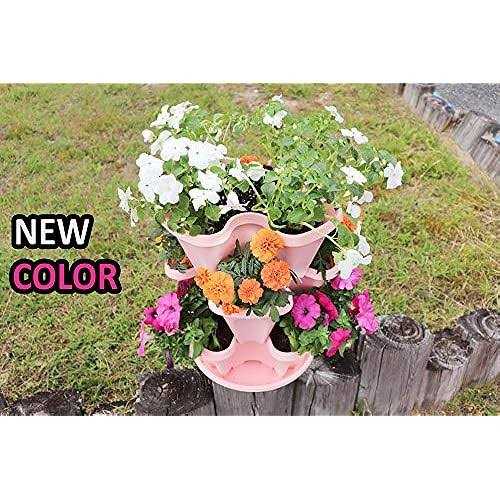 Mr Stacky 5 Tier Strawberry Planter - Image 3