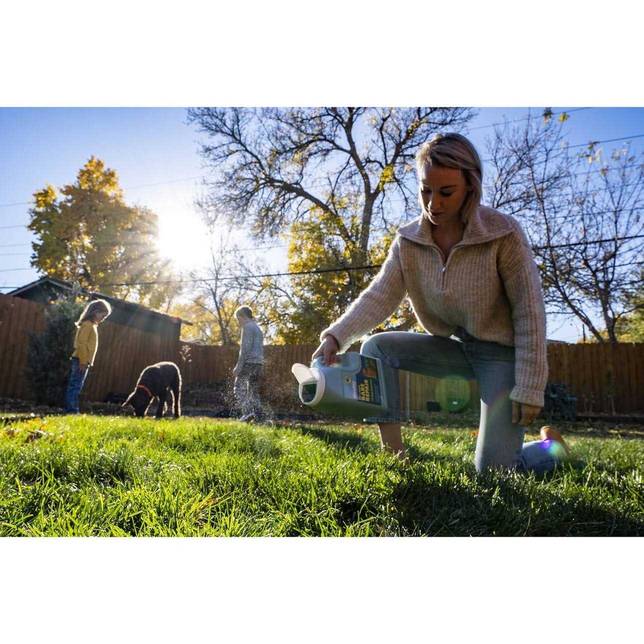 Sunday Pet Lawn Bare Repair Grass - Image 3