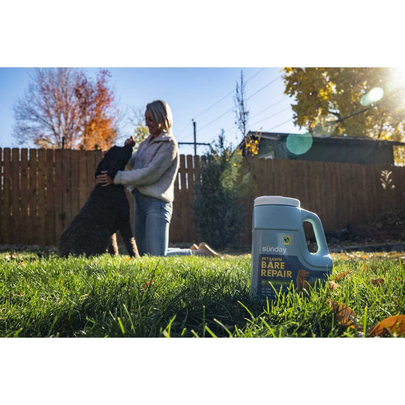 Sunday Pet Lawn Bare Repair Grass - Image 4